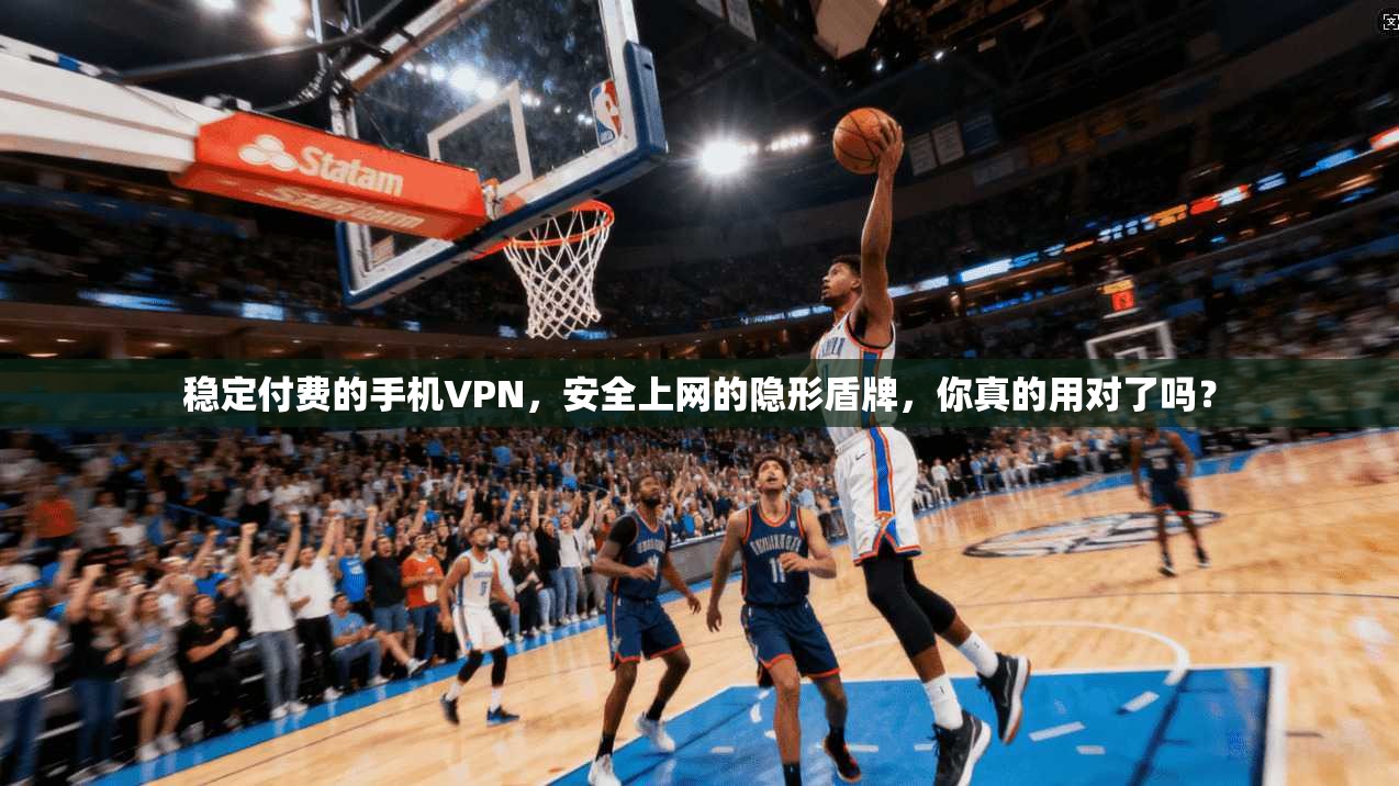 稳定付费的手机VPN，安全上网的隐形盾牌，你真的用对了吗？