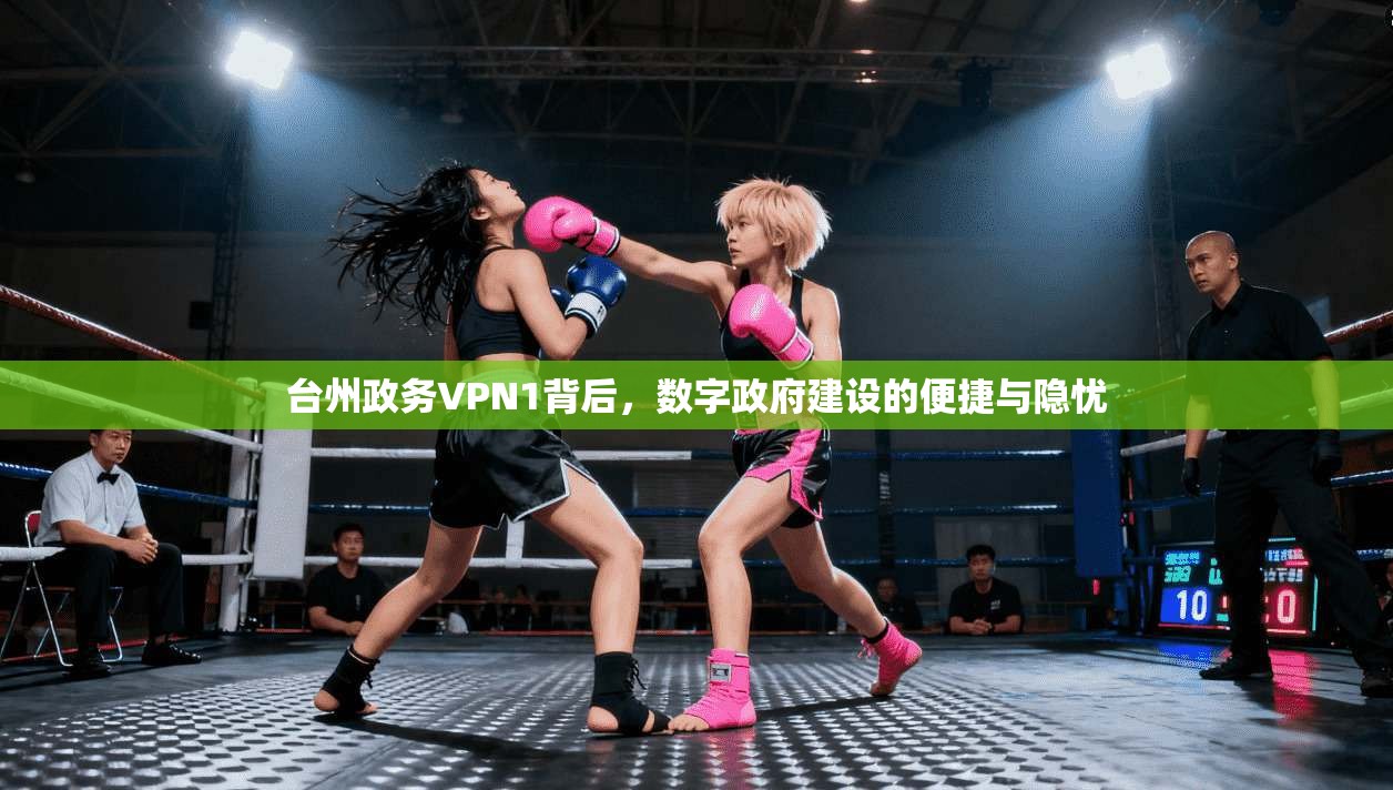台州政务VPN1背后，数字政府建设的便捷与隐忧