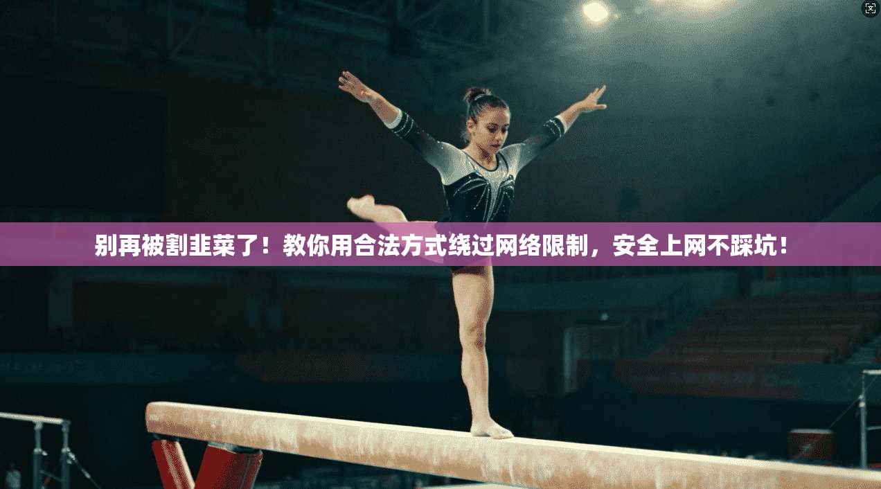 别再被割韭菜了！教你用合法方式绕过网络限制，安全上网不踩坑！