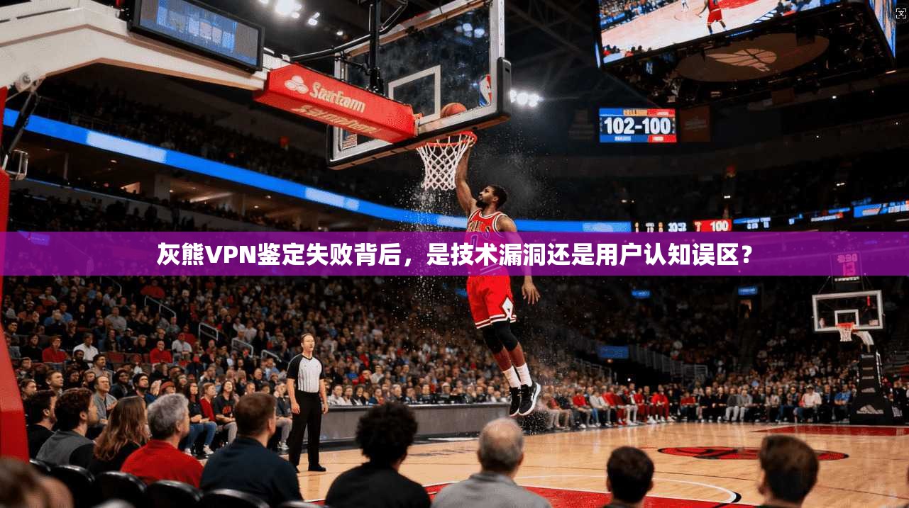 灰熊VPN鉴定失败背后，是技术漏洞还是用户认知误区？