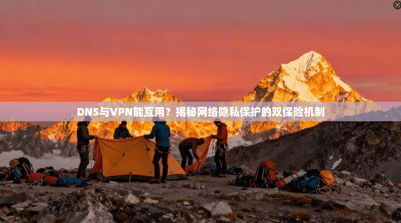DNS与VPN能互用？揭秘网络隐私保护的双保险机制