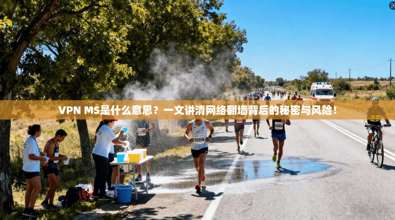 VPN MS是什么意思？一文讲清网络翻墙背后的秘密与风险！