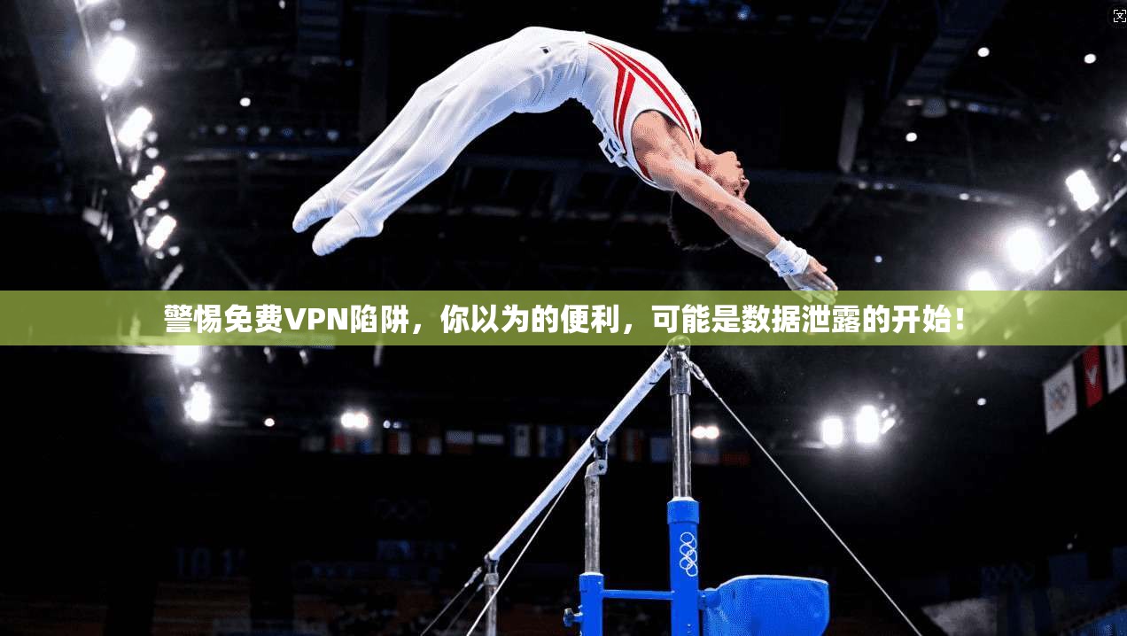警惕免费VPN陷阱，你以为的便利，可能是数据泄露的开始！