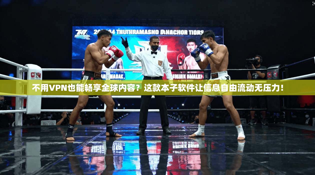 不用VPN也能畅享全球内容？这款本子软件让信息自由流动无压力！