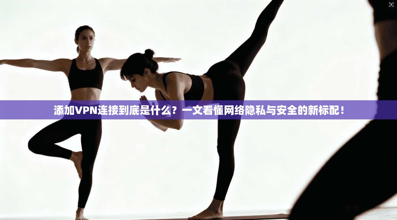添加VPN连接到底是什么？一文看懂网络隐私与安全的新标配！