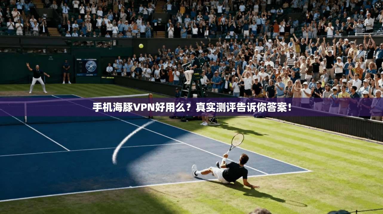 手机海豚VPN好用么？真实测评告诉你答案！