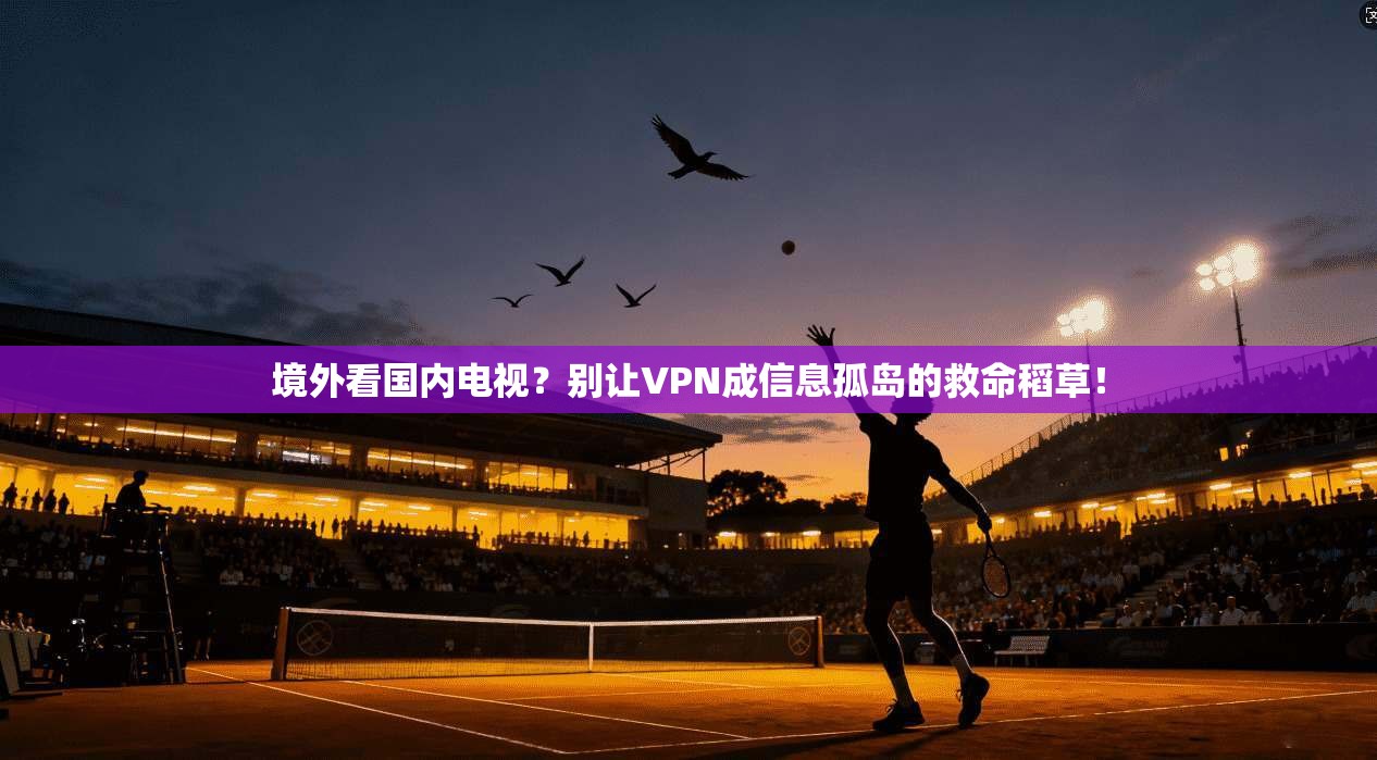 境外看国内电视？别让VPN成信息孤岛的救命稻草！