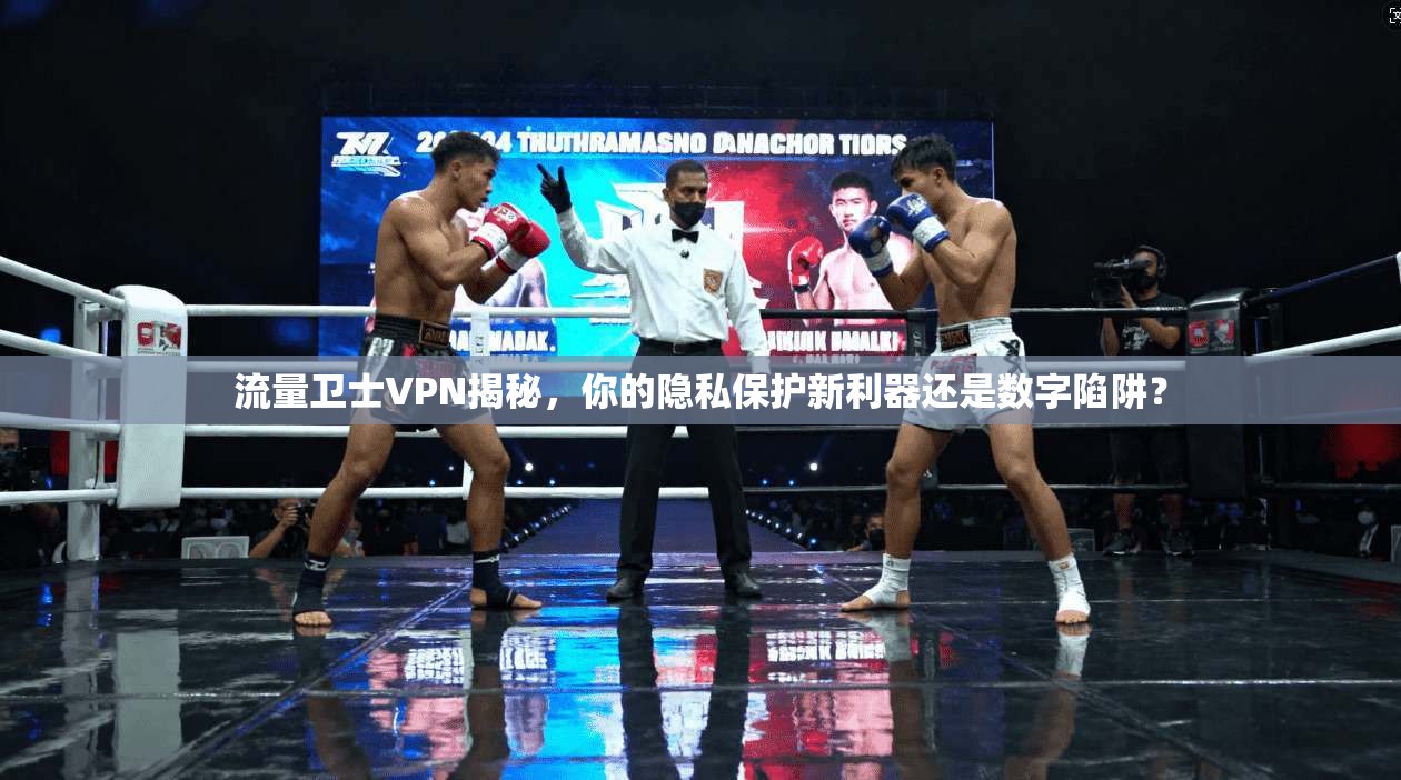 流量卫士VPN揭秘，你的隐私保护新利器还是数字陷阱？