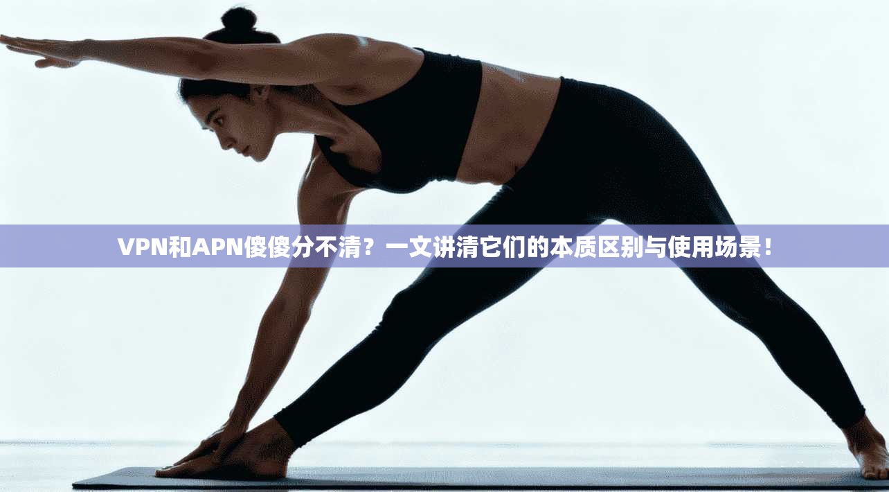 VPN和APN傻傻分不清？一文讲清它们的本质区别与使用场景！