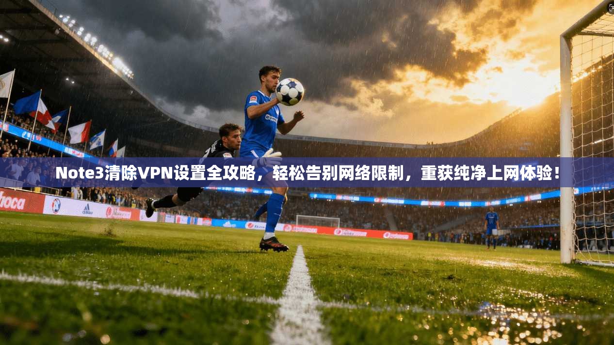 Note3清除VPN设置全攻略，轻松告别网络限制，重获纯净上网体验！