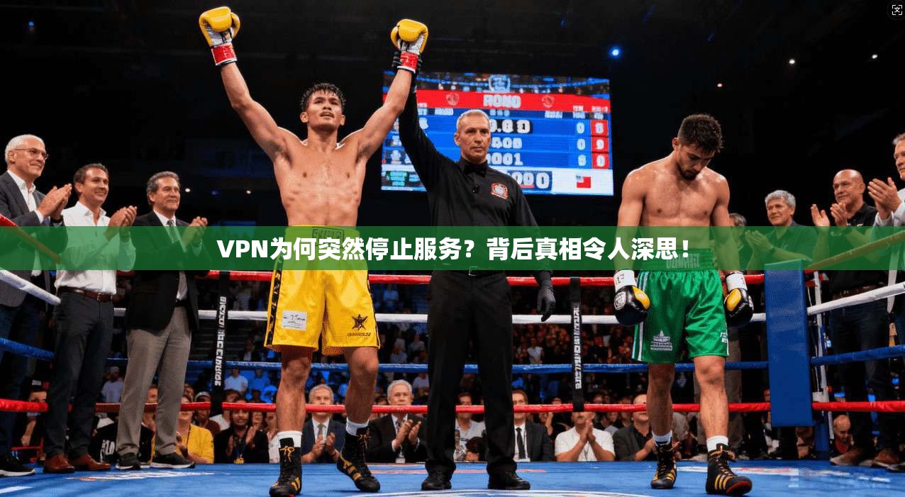 VPN为何突然停止服务?背后真相令人深思!