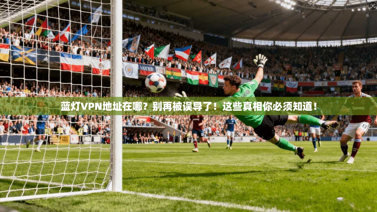 蓝灯VPN地址在哪?别再被误导了!这些真相你必须知道!