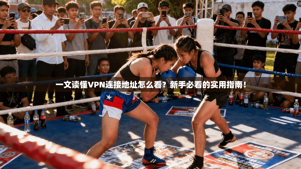 一文读懂VPN连接地址怎么看？新手必看的实用指南！
