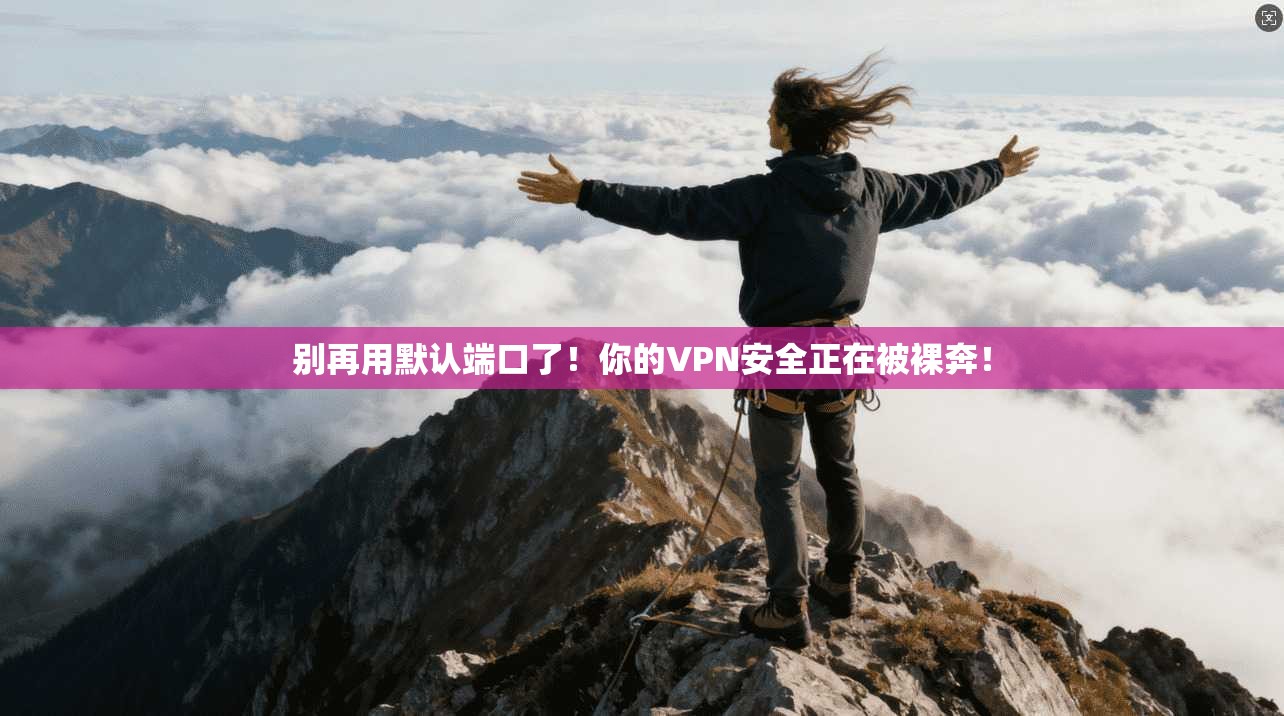 别再用默认端口了！你的VPN安全正在被裸奔！