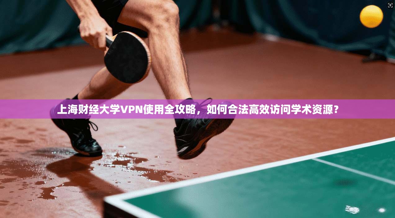 上海财经大学VPN使用全攻略，如何合法高效访问学术资源？