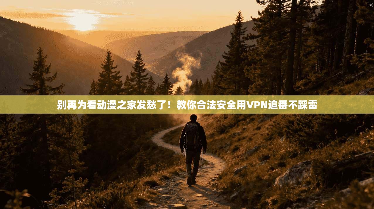 别再为看动漫之家发愁了！教你合法安全用VPN追番不踩雷
