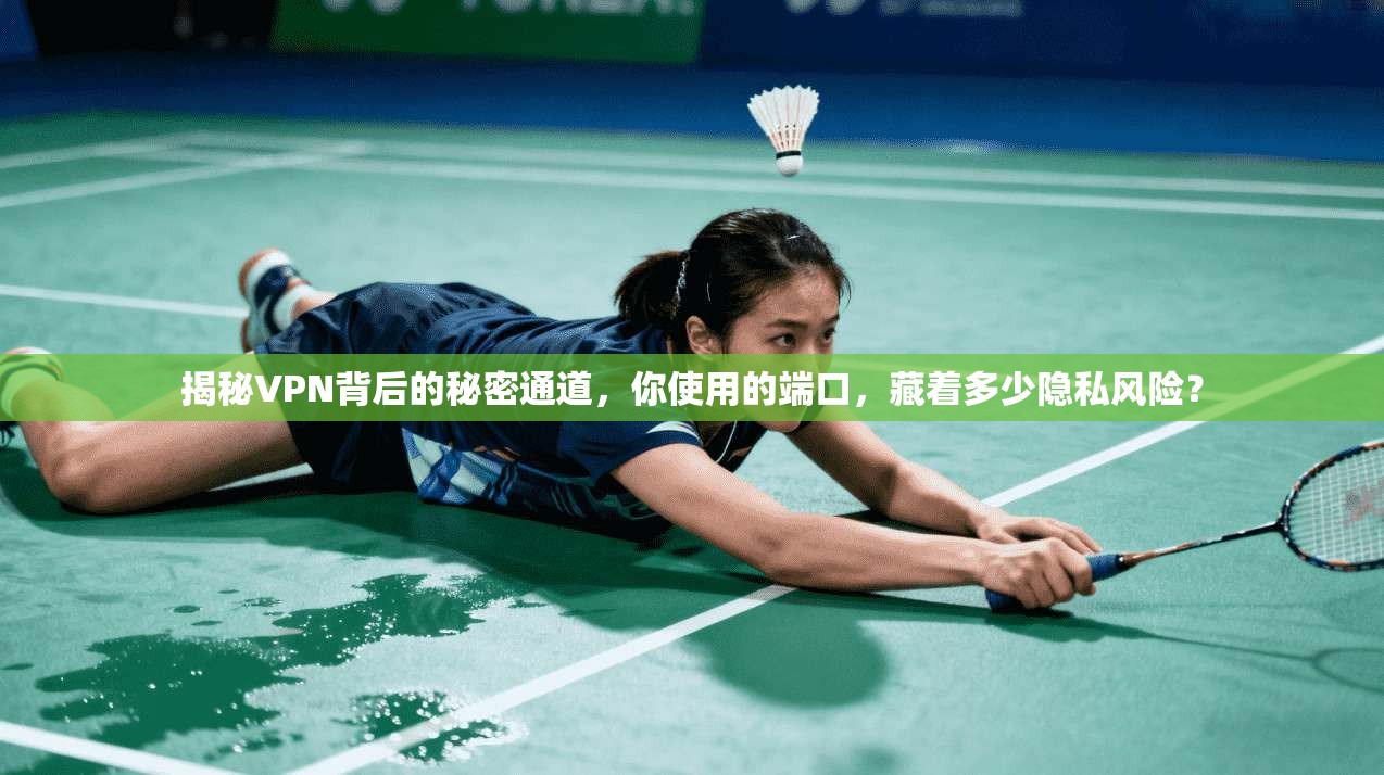 揭秘VPN背后的秘密通道，你使用的端口，藏着多少隐私风险？