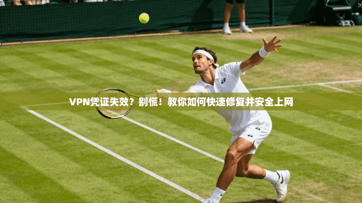 VPN凭证失效?别慌!教你如何快速修复并安全上网