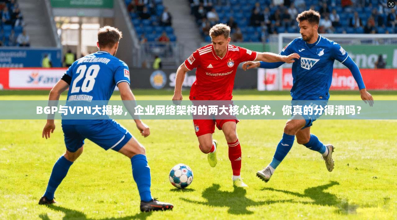 BGP与VPN大揭秘,企业网络架构的两大核心技术,你真的分得清吗?