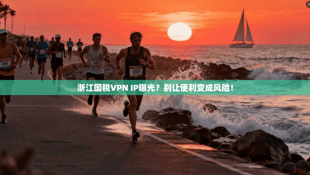 浙江国税VPN IP曝光？别让便利变成风险！