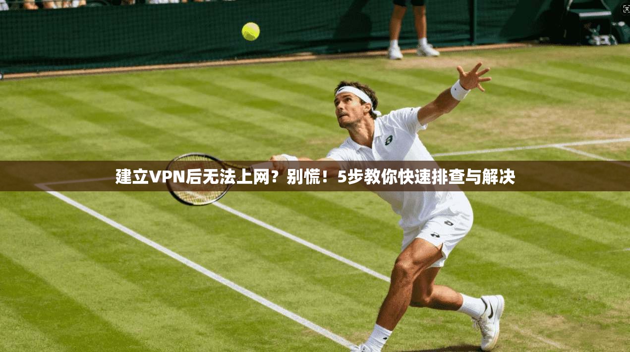 建立VPN后无法上网?别慌!5步教你快速排查与解决