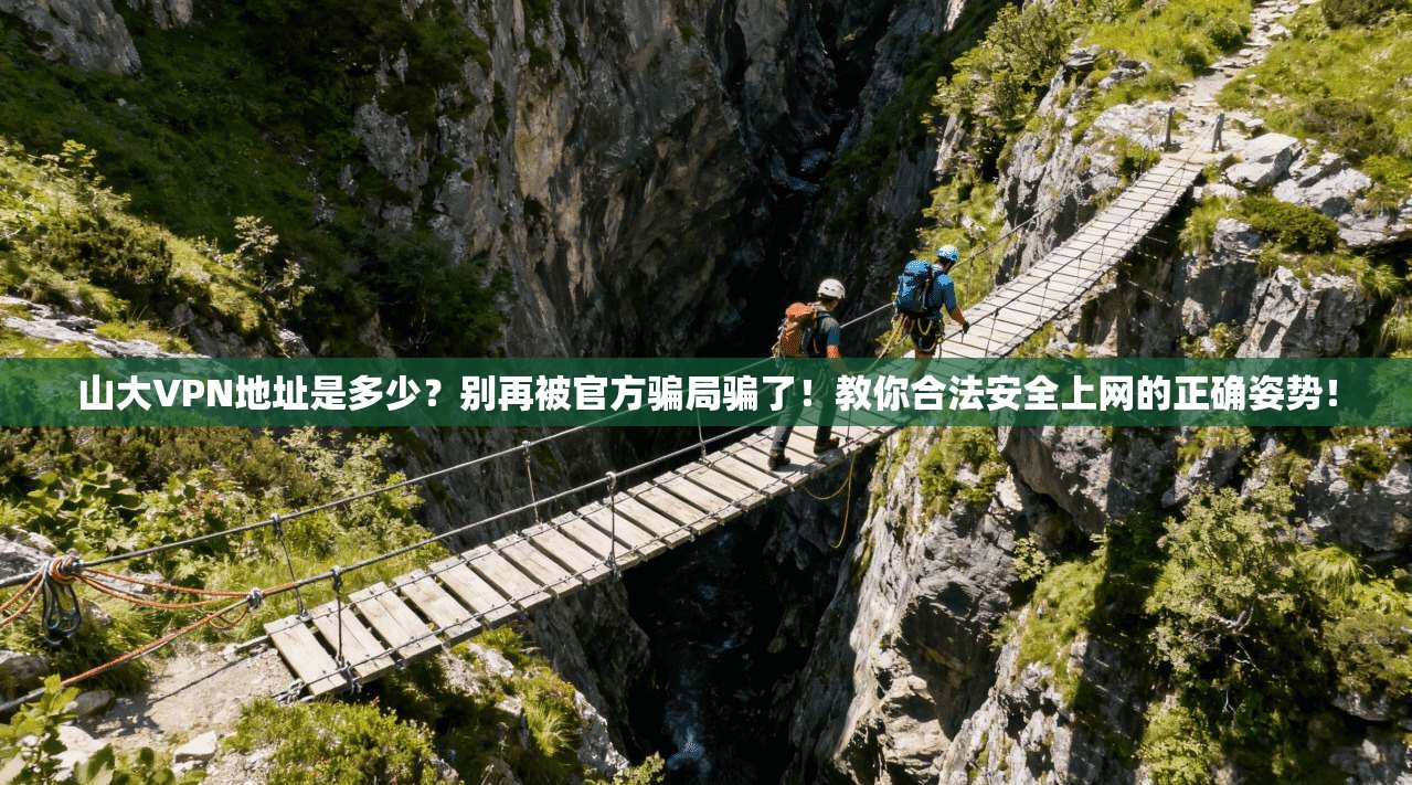 山大VPN地址是多少？别再被官方骗局骗了！教你合法安全上网的正确姿势！