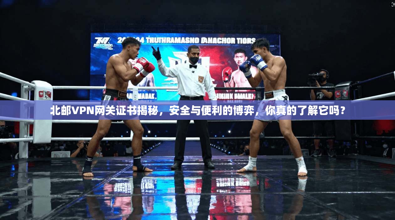 北邮VPN网关证书揭秘，安全与便利的博弈，你真的了解它吗？