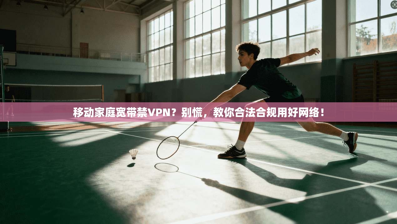 移动家庭宽带禁VPN？别慌，教你合法合规用好网络！