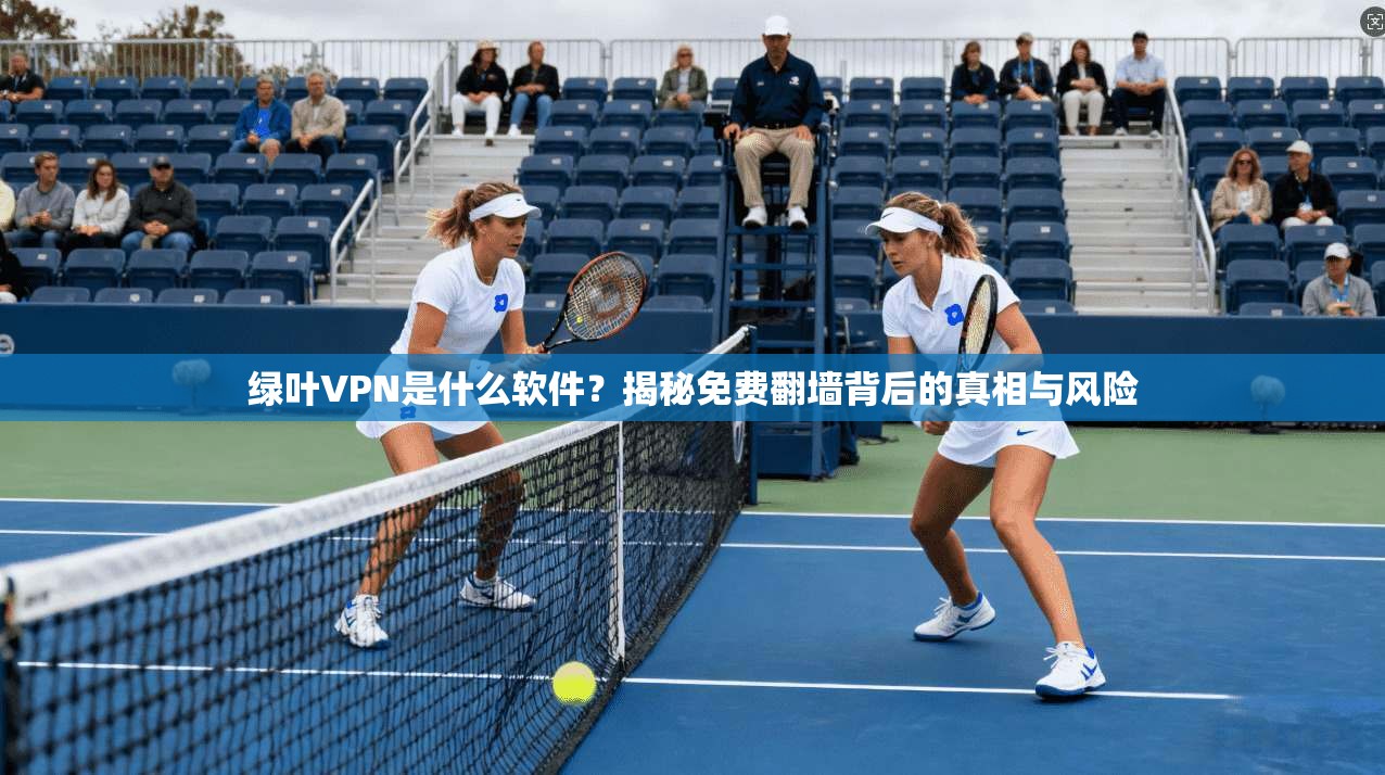 绿叶VPN是什么软件?揭秘免费翻墙背后的真相与风险