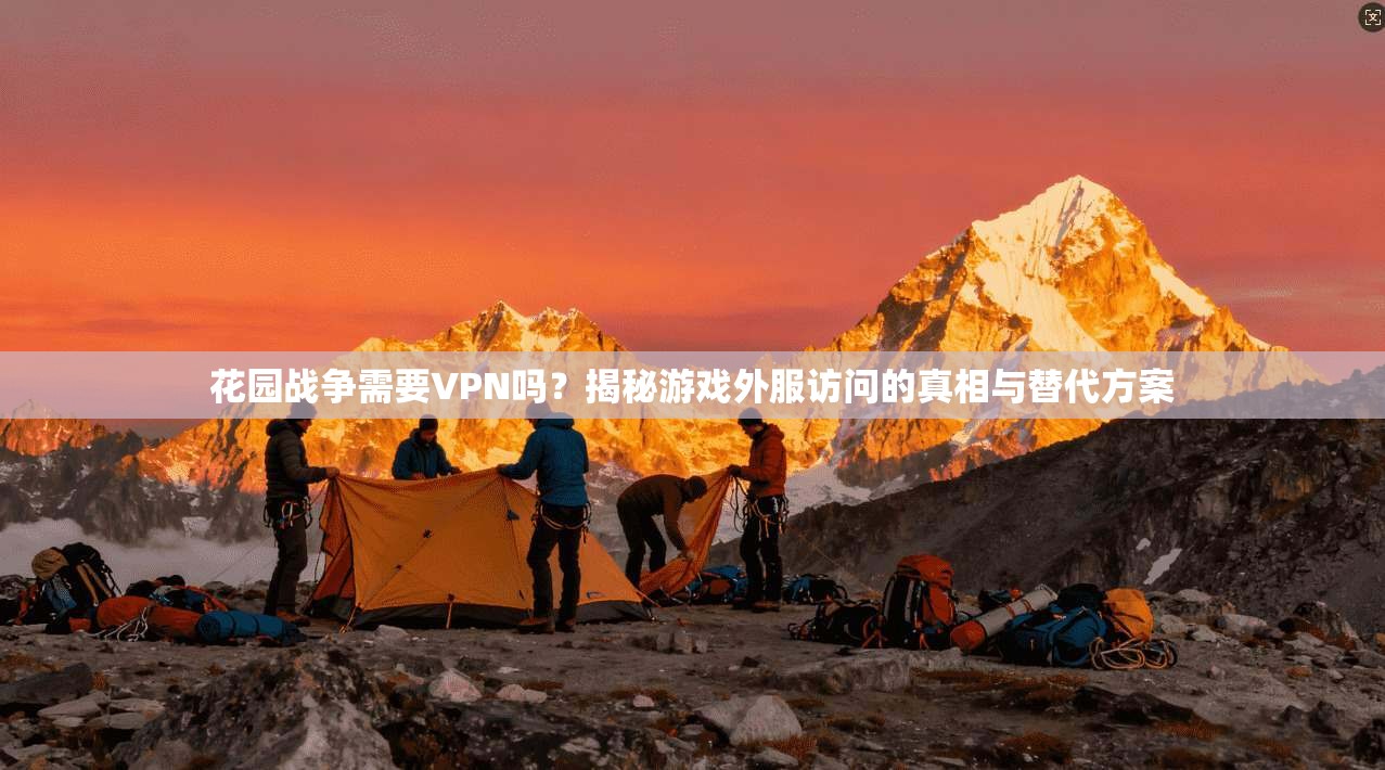 花园战争需要VPN吗?揭秘游戏外服访问的真相与替代方案