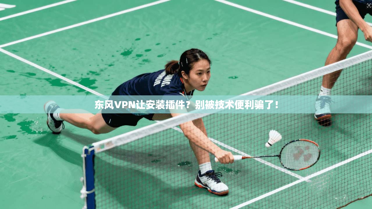 东风VPN让安装插件？别被技术便利骗了！