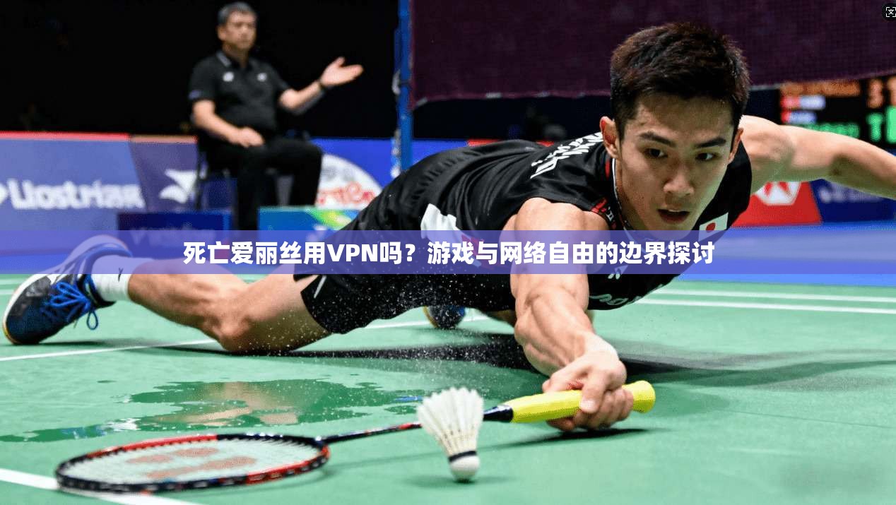 死亡爱丽丝用VPN吗？游戏与网络自由的边界探讨