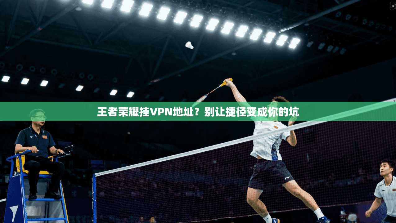 王者荣耀挂VPN地址？别让捷径变成你的坑