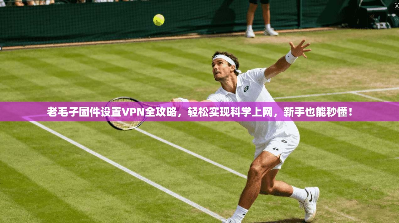 老毛子固件设置VPN全攻略,轻松实现科学上网,新手也能秒懂!