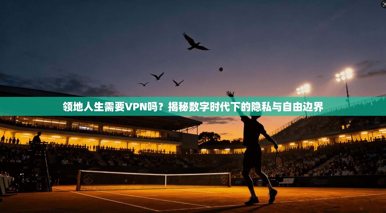 领地人生需要VPN吗？揭秘数字时代下的隐私与自由边界