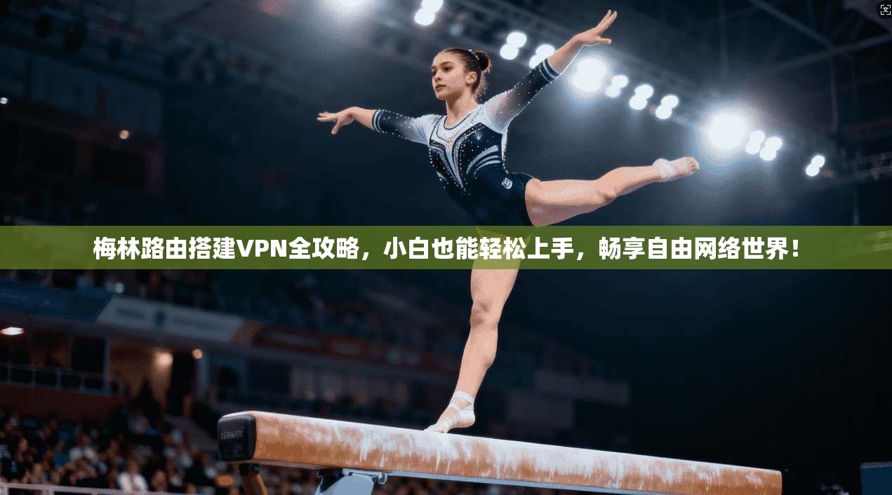 梅林路由搭建VPN全攻略，小白也能轻松上手，畅享自由网络世界！