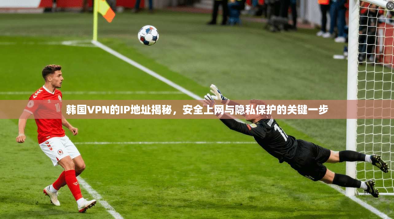 韩国VPN的IP地址揭秘，安全上网与隐私保护的关键一步