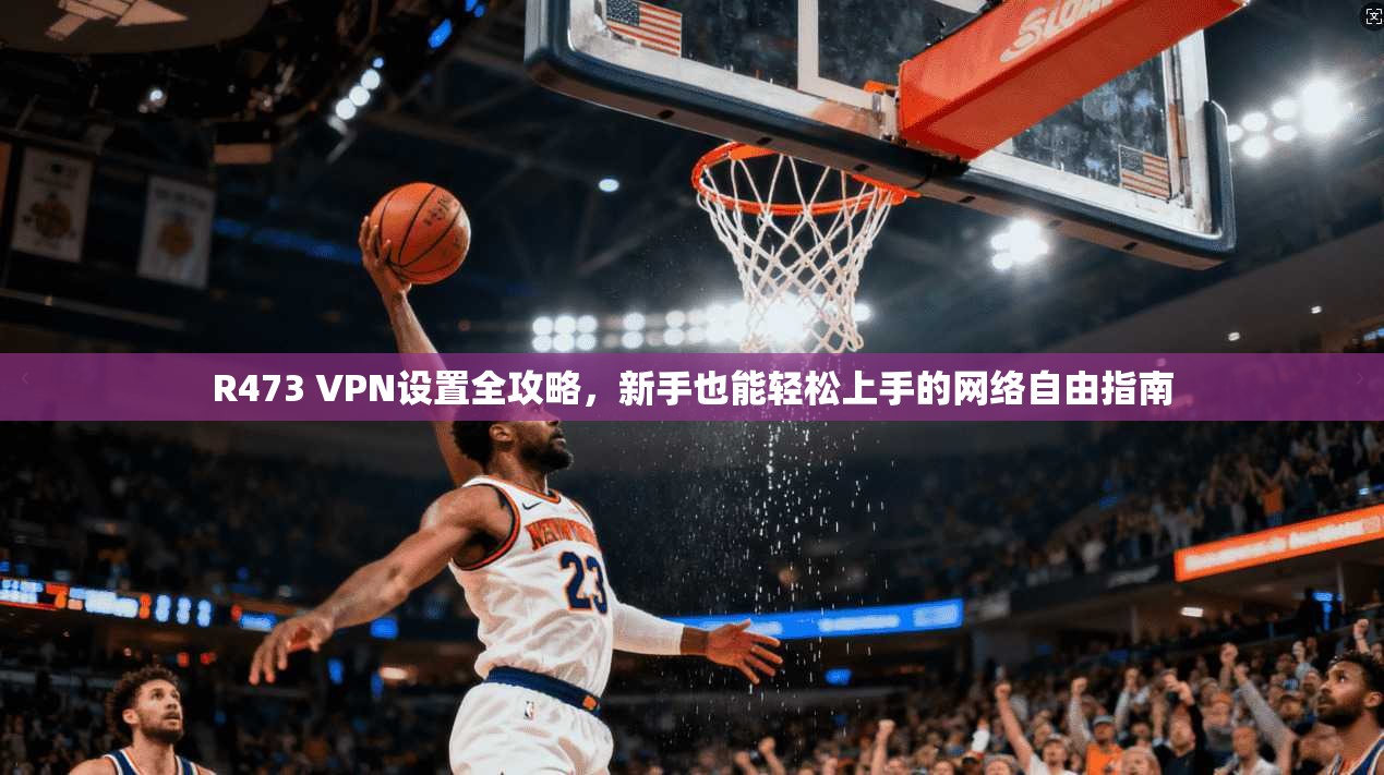 R473 VPN设置全攻略，新手也能轻松上手的网络自由指南