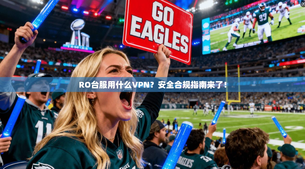 RO台服用什么VPN？安全合规指南来了！