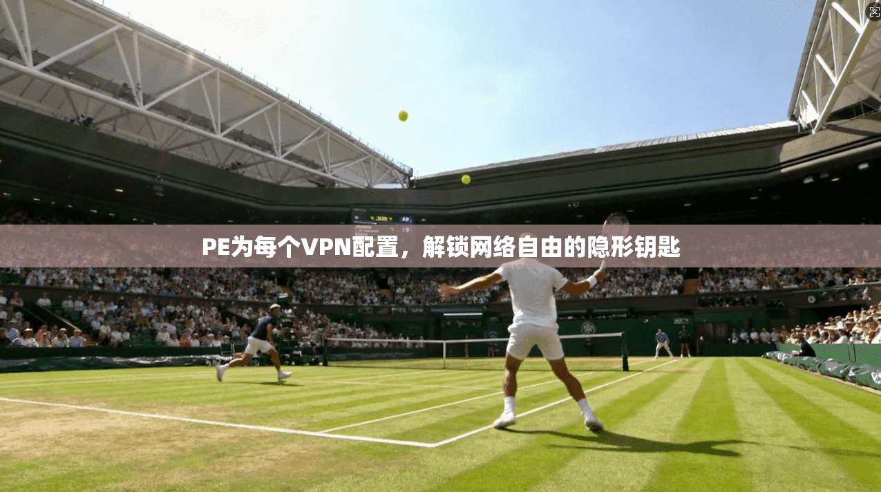 PE为每个VPN配置，解锁网络自由的隐形钥匙