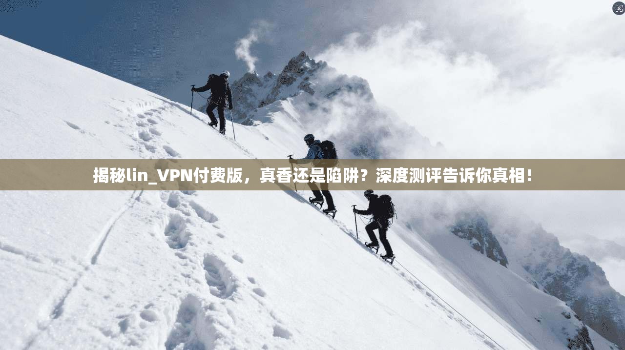 揭秘lin_VPN付费版，真香还是陷阱？深度测评告诉你真相！