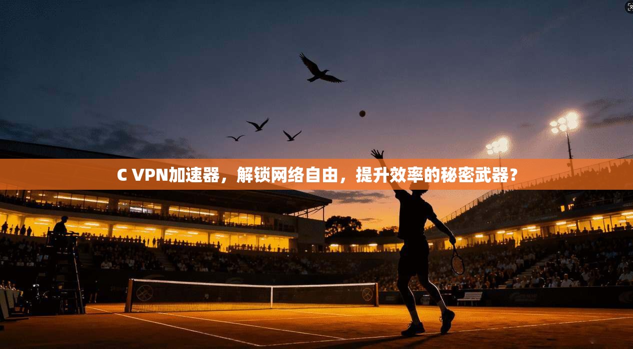 C VPN加速器，解锁网络自由，提升效率的秘密武器？