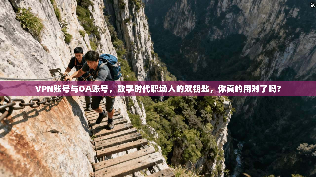 VPN账号与OA账号,数字时代职场人的双钥匙,你真的用对了吗?