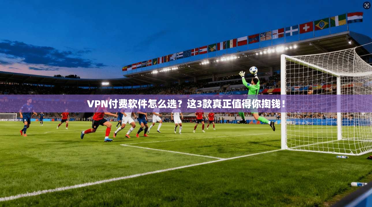 VPN付费软件怎么选?这3款真正值得你掏钱!
