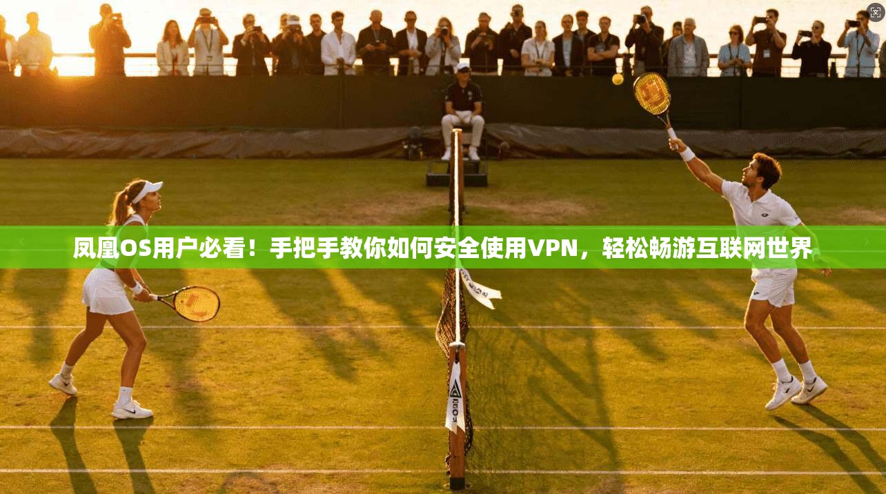 凤凰OS用户必看!手把手教你如何安全使用VPN,轻松畅游互联网世界
