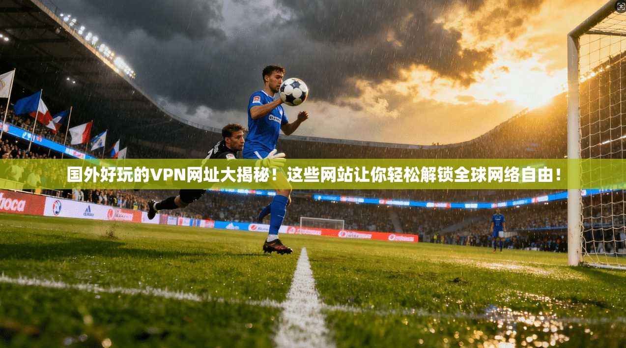 国外好玩的VPN网址大揭秘！这些网站让你轻松解锁全球网络自由！
