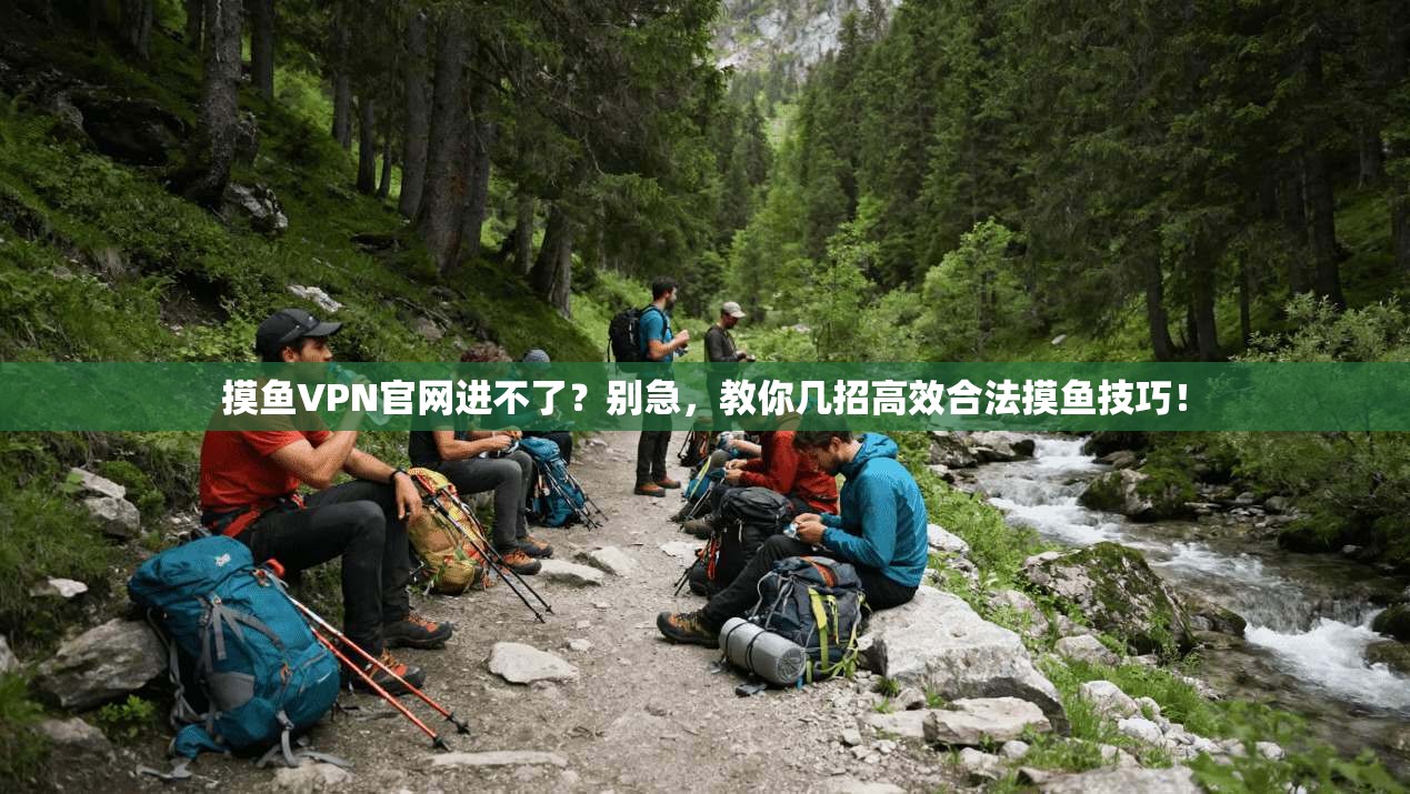 摸鱼VPN官网进不了?别急,教你几招高效合法摸鱼技巧!