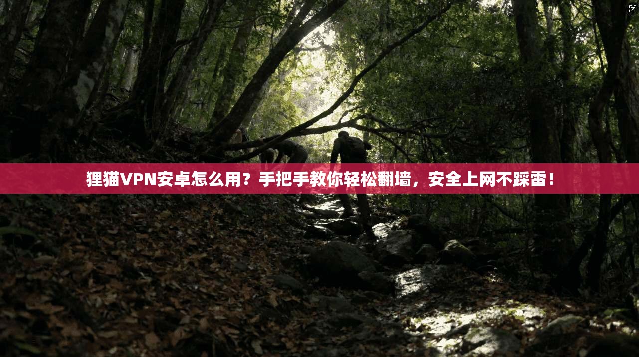 狸猫VPN安卓怎么用？手把手教你轻松翻墙，安全上网不踩雷！