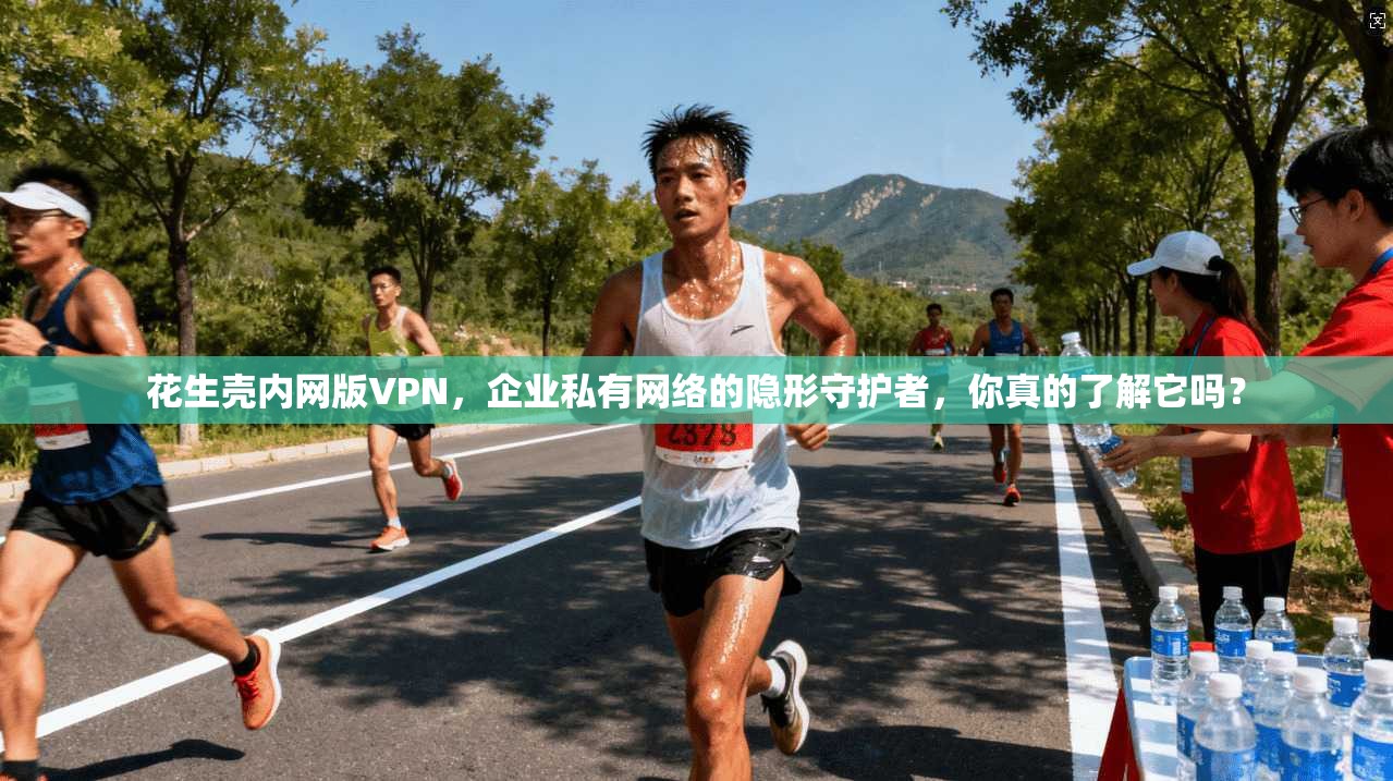 花生壳内网版VPN,企业私有网络的隐形守护者,你真的了解它吗?
