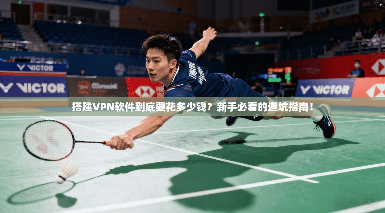 搭建VPN软件到底要花多少钱？新手必看的避坑指南！